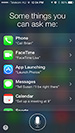 Screen Thumbnail
