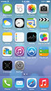Screen Thumbnail